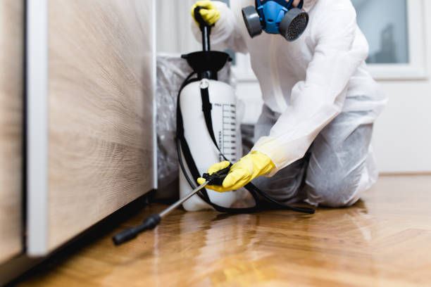 Best Pest Inspection Near Me  in South Yarmouth, MA
