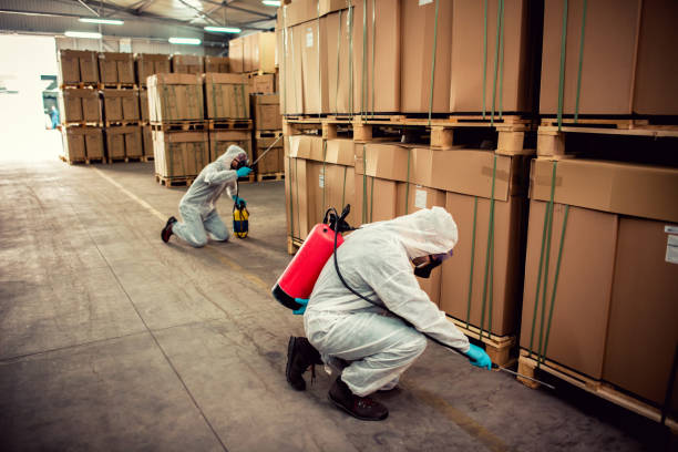 Best Pest Control Near Me in South Yarmouth, MA