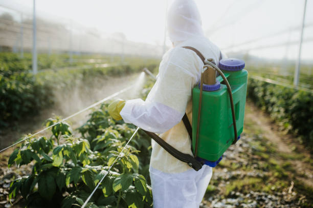 South Yarmouth, MA Pest Control Company